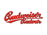 Budweiser piwo czeskie